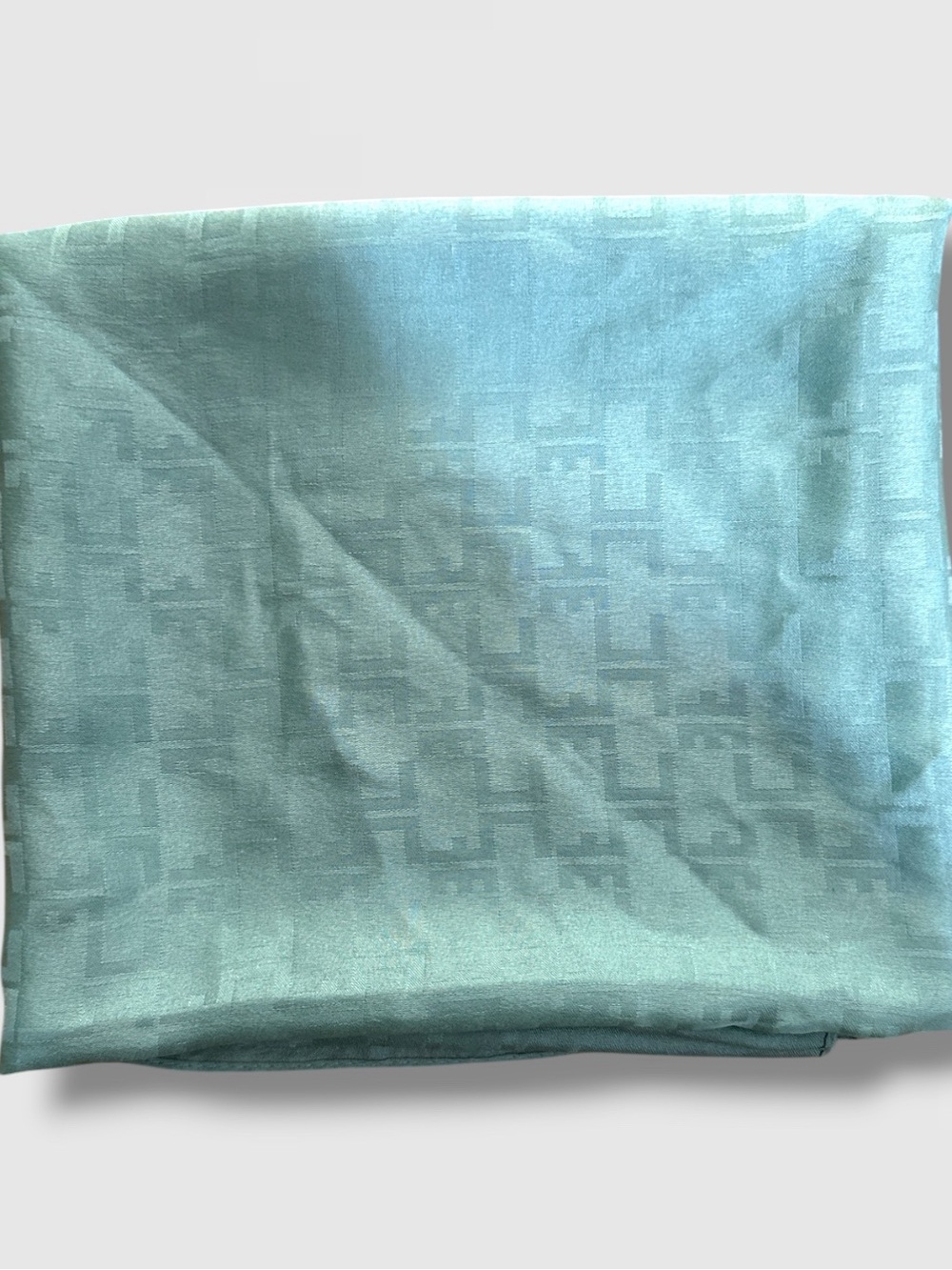 ELISABETTA FRANCHI SILK AQUA LOGO SCARF 38"